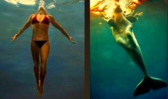 Это фото кита белухи, главное, не путать это название с белугой из осетровых. белухи есть уникальная особенность - в отличии от других китов она может поворачивать голову, так как позвонки на шее у нее не влиты вместе. Издалека можно принять ее за человека в длинном одеянии, почти русалка)