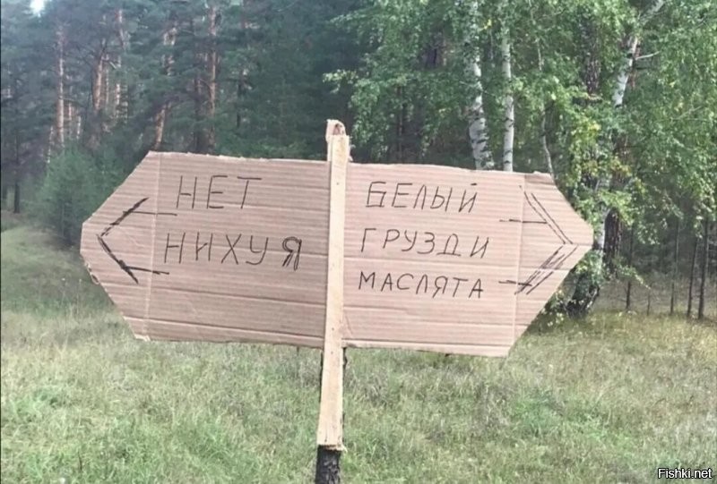 Солянка от 06.10.2020