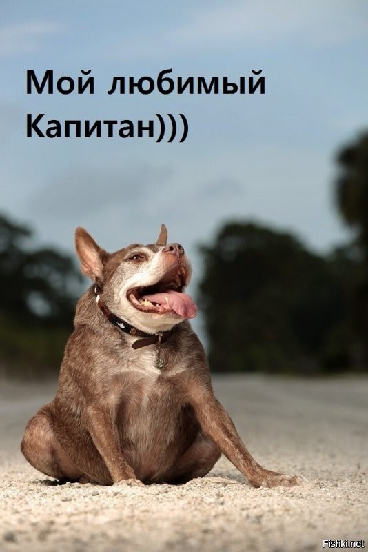 Сначала Вы у нас,потом мы у Вас