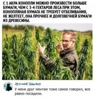 Прикольные и смешные картинки