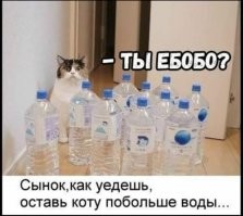 Прикольные и смешные картинки