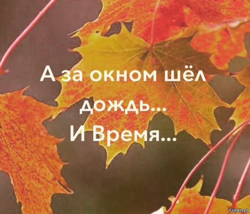 Солянка от 06.10.2020