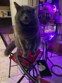 Это не айфон