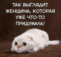 Примеры убойной женской логики, которые ставят мужчин в тупик