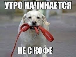 Прикольные и смешные картинки