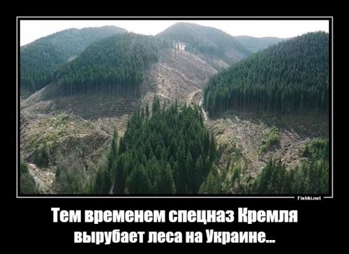 Украинские нацисты рассчитывают, что лес защитит страну от российского вторжения