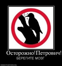 Прикольные и смешные картинки