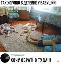 Прикольные и смешные картинки
