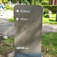 Прикольные и смешные картинки