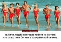 Самое жуткое, что бегут всегда из Малибу