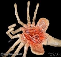 Прикольные и смешные картинки