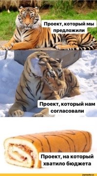 Прикольные и смешные картинки