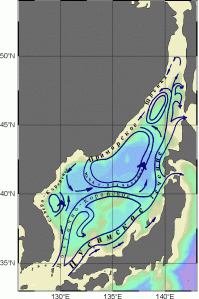 Ответ: Квантунская армия затопила часть боеприпасов с ОВ в восточной части Японского моря (большинство ёмкостей с ОВ просто зарыли в землю в Китае и Корее). Течения в Японском море направлены так, что отрава не могла распространиться дальше юга Сахалина.