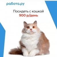 Вот работа мечты!Жаль,что обман