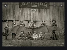 Внимание! Сейчас вылетит птеродактиль!