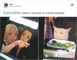 Смешные мемы с котом, который всё опровергает