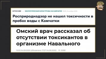 Пора, пожалуй, уже закрепить отсутствие токсичности на территории РФ в Конституции.