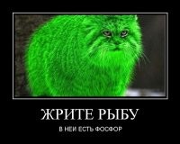 Рыбный день в СССР: когда и зачем он появился