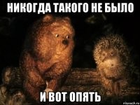 "Золотой чемоданчик": в Сети появилось видео обыска мэра Усть-Кута