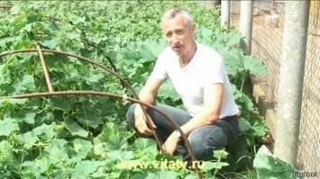 Он, возможно, знает.