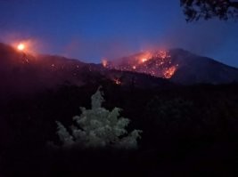 Всё.. кончился Утриш.