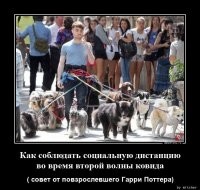 Надо кота туда бросить...