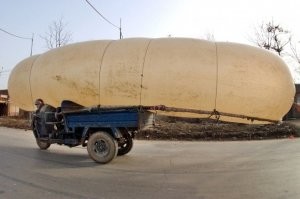 Всё суки в Китай продали...