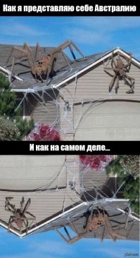 Прикольные и смешные картинки