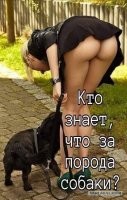 Ай какая остроумная шутка