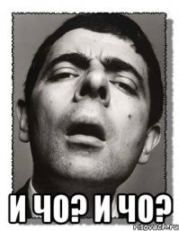 Змея неожиданно укусила змеелова в щеку