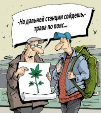 В 70-х - только рок, советская эстрада бесила, раздражала и презиралась мною. Теперь каждое утро включаю "Маяк" и собираюсь на работу под те самые композиции. И это очень нравится. Песня добрая, красивая, со смыслом, и душу согреет.
Ну, а картинка - так, щЮтка