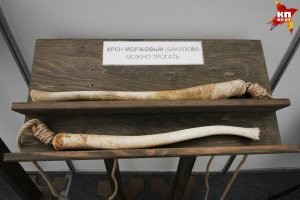 20 занимательных вещей, про которые многие знают, но видели единицы