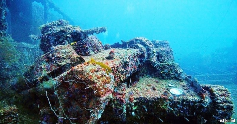 Атолл Трук в наши дни - это Мекка для дайверов, специализирующихся на погружениях на затонувшие корабли.