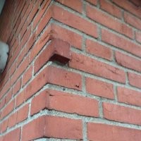 Но не всё коту масленица!