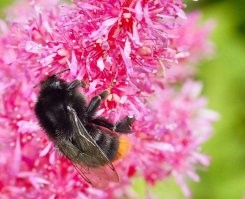 Кликабельно.