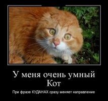 "Оставайтесь на местах!": жители Москвы пожаловались на круглосуточные сигналы из СИЗО
