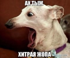 Как правильно "крайний" или "последний"?