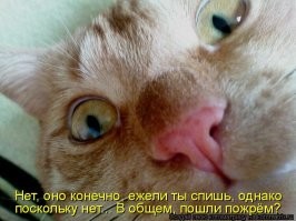 Прикольные и смешные картинки