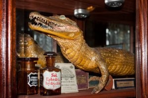 Прикольные и смешные картинки