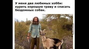 Выпивка превратила тайца в защитника животных