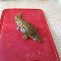 Худшего дизайна блюд вы еще не видели!