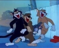 Три кошки помогли забраться котенку на крышу дома