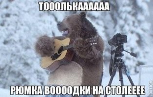 Бурый медведь из России делает успешную карьеру модели