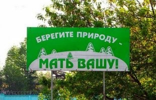 Правда ли, что дикие животные приходят за помощью к людям?