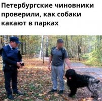 Просто хорошие и добрые новости из России за 5 дней