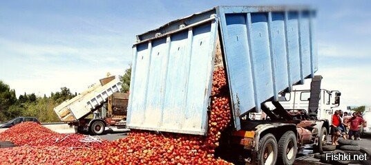 финт в том, что в обход, через РБ, возить продолжали..да меньше... но все же.. а теперь обосрались с бацькой - и поглядите какой ор, из за таможенного контроля, бацька быстро сообразил как ударить в ответ и ударил :)