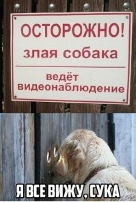 «Суровые» сторожевые псы