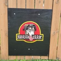 «Суровые» сторожевые псы