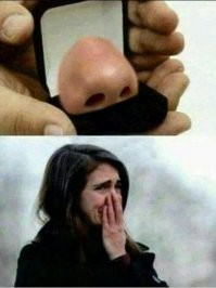 Прикольные и смешные картинки