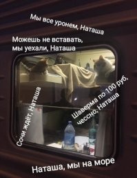 Мужчина выкупил все купе для своих котов